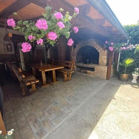 Ferienwohnung Dvorska Oaza Sremski Karlovci Exterior foto